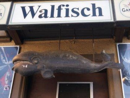 Фото: Walfisch